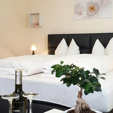 Schneiderhof Hotel Braunlage